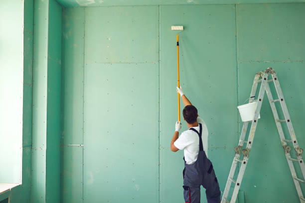 Trusted North Hartsville, SC Mold Removal Experts