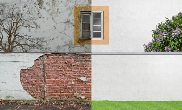 Best Mold Odor Removal Services  in North Hartsville, SC